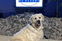 533130571_714542924913140_6407605502317344484_n